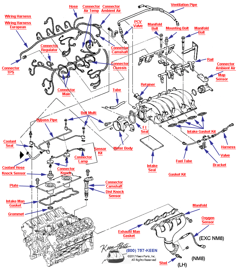 Engine Assembly- Manifolds and Fuel Related-LS1 Diagram for a 2024 Corvette