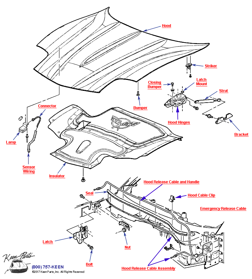 Hood Diagram for a 2015 Corvette